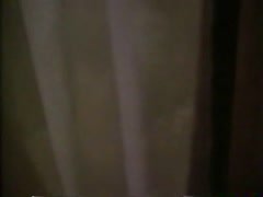Shannon Tweed nude , boobs scene in Night Eyes 11