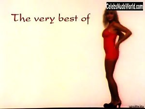 Pamela Anderson Nipple , Blonde in Playboy: The Very Best of Pamela Anderson (1998) 1