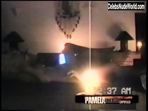 Pamela Anderson and Brett Michaels Sex Tape (2004) 12