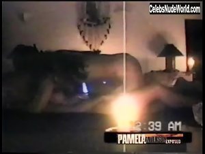 Pamela Anderson and Brett Michaels Sex Tape (2004) 13