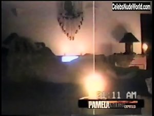 Pamela Anderson and Brett Michaels Sex Tape (2004) 18