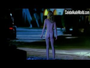Abbie Cornish boobs , Stockings in Somersault (2004) 20