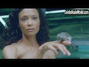 Thandie Newton Explicit , Brunette in Westworld (series) (2016) 19