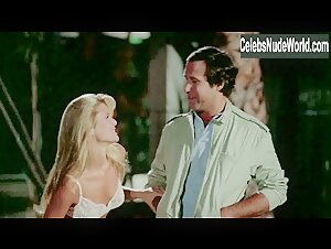 Christie Brinkley underwear, Sexy scene in National Lampoon's Vacation (1983) 17