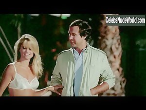 Christie Brinkley underwear, Sexy scene in National Lampoon's Vacation (1983) 19