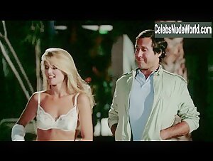 Christie Brinkley underwear, Sexy scene in National Lampoon's Vacation (1983)