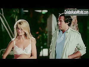 Christie Brinkley underwear, Sexy scene in National Lampoon's Vacation (1983) 4
