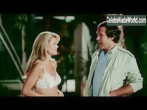 Christie Brinkley underwear, Sexy scene in National Lampoon's Vacation (1983) 6