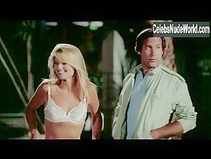 Christie Brinkley underwear, Sexy scene in National Lampoon's Vacation (1983) 8
