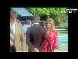 Loni Anderson Blonde , Outdoor scene in The Incredible Hulk (1977-1982) 11