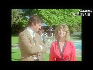 Loni Anderson Blonde , Outdoor scene in The Incredible Hulk (1977-1982) 6